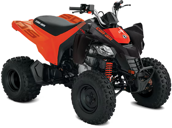 CAN AM DS