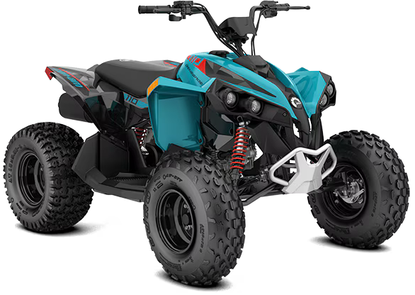CAN AM Renegade 110